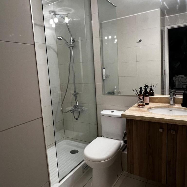 Cozy apartment in Ñuñoa - One-Bedroom Apartment - 7