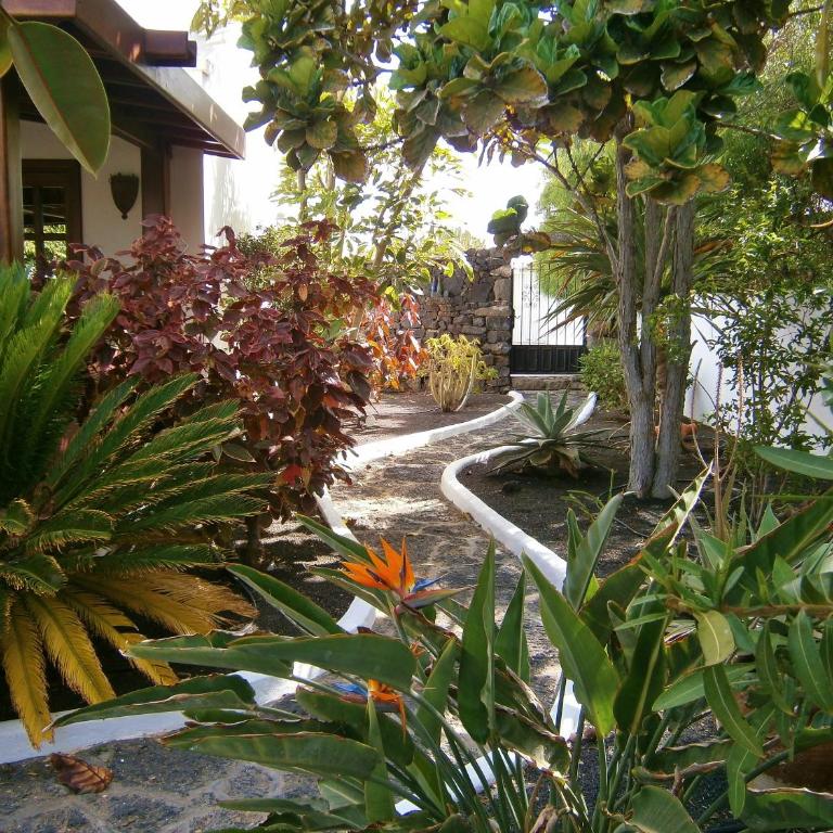 Villa Ana - Villa - 35