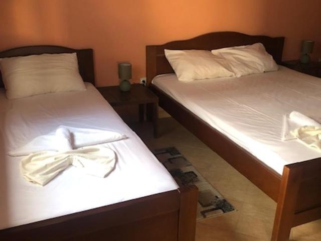 Cheap Montenegro Apartments - Classic Triple Room - 1