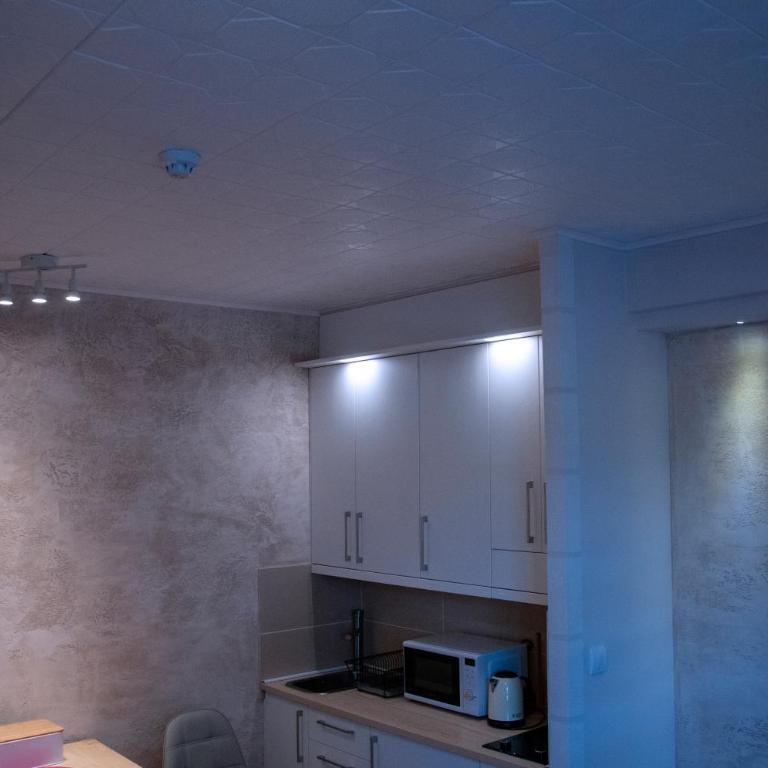 Lux Studio Kraljevi Čardaci - One-Bedroom Apartment - 5