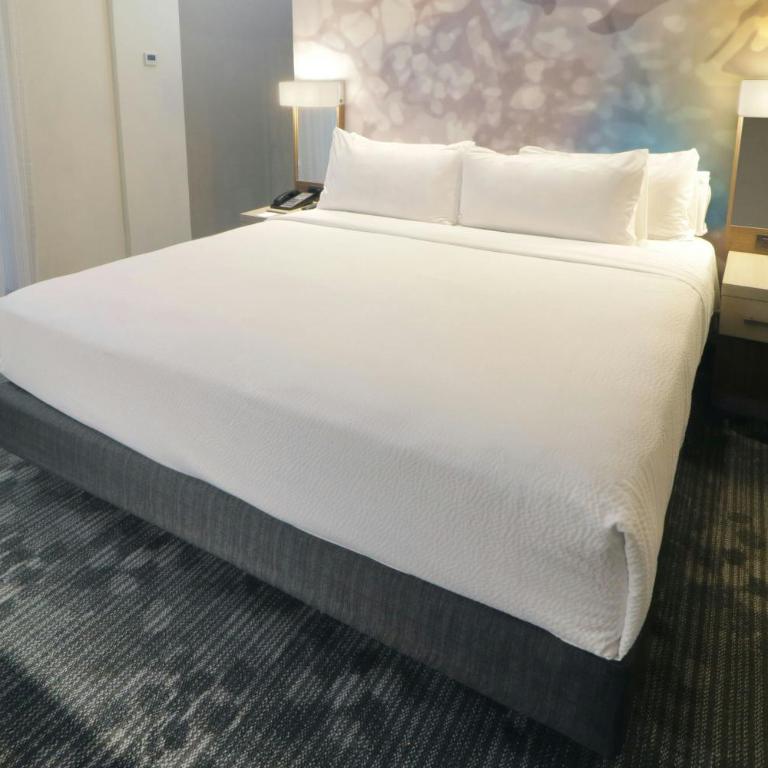Courtyard Monterrey Airport - King Room with Courtyard View - 16