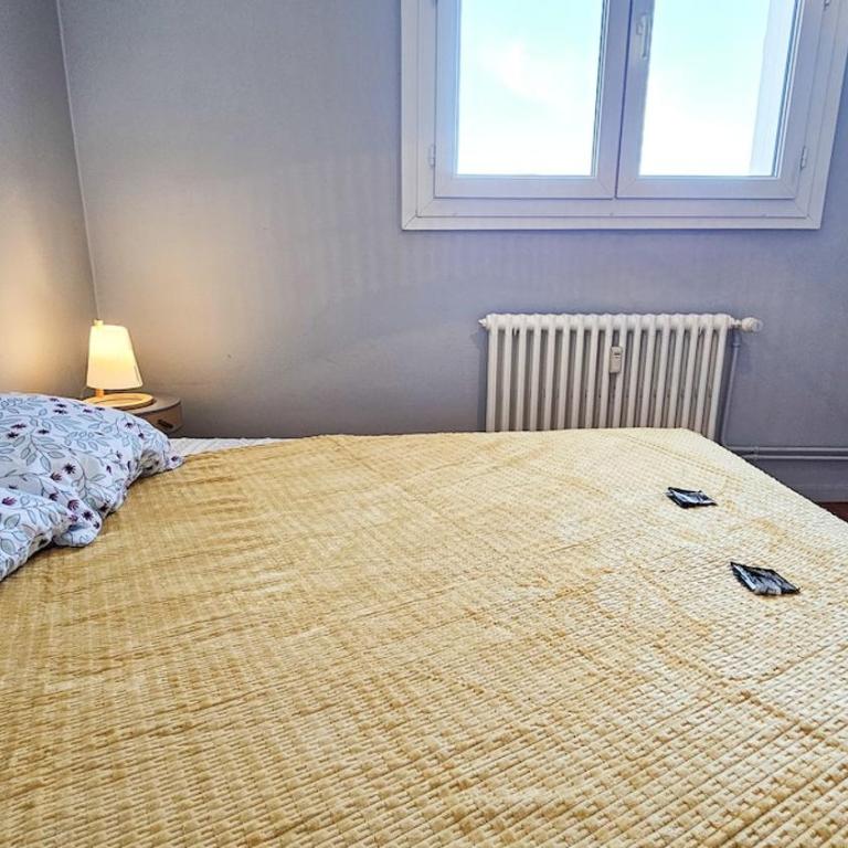 La Comète 4 Bedroom WiFi TV - Appartamento con 4 Camere da Letto - 70