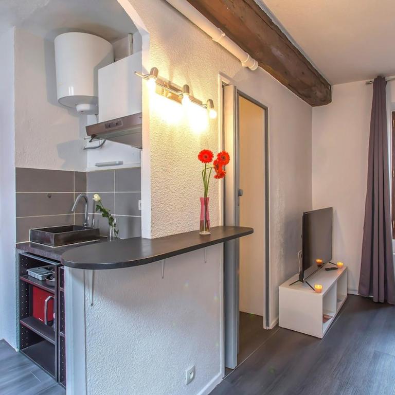 A 4 mn de Grenette Hypercentre - Appartement 1 Chambre - 2