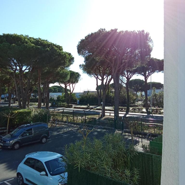 Studio cabine Cosy bord de mer - Appartamento con 2 Camere da Letto - 12