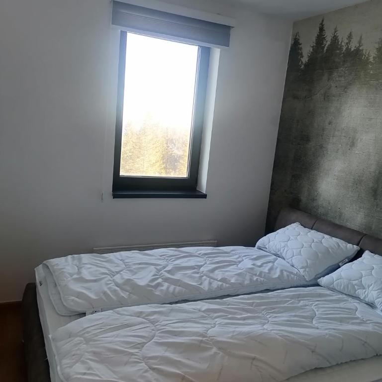 Apartmani Stella Jahorina - Apartment with Mountain View - 32