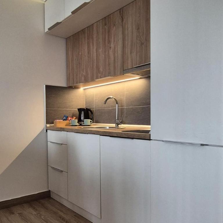 Kopaonik Lux Resident Hill Apartman A39 - One-Bedroom Apartment - 4