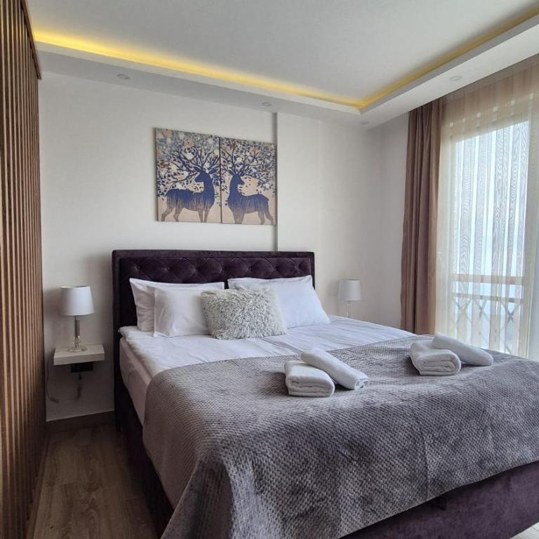 Kopaonik Lux Resident Hill Apartman A39 - One-Bedroom Apartment - 2