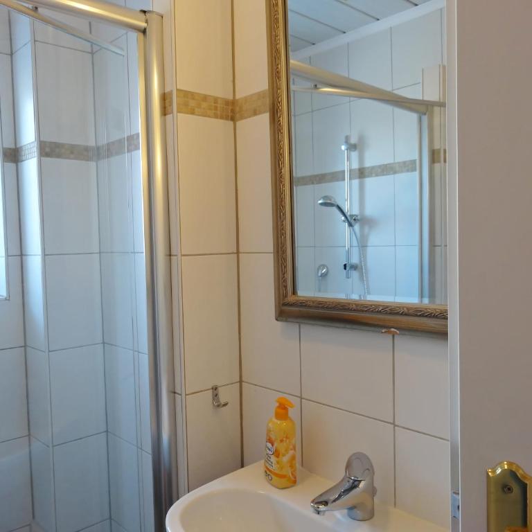 Urlaubsapartment am Silbersee - Apartment mit 2 Schlafzimmern und Terrasse - 2