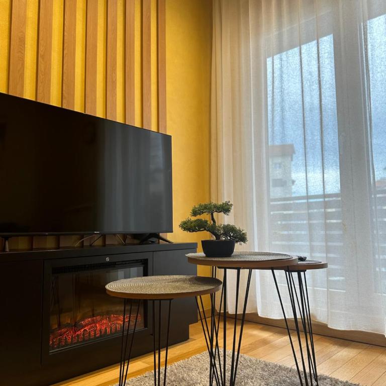 Diamond Kalman, Zlatibor - Apartman sa 1 Spavaćom Sobom - 24