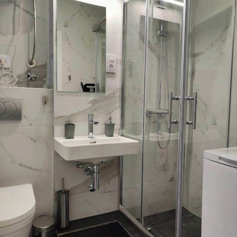 Lux apartment downtown Belgrade - Apartman sa 1 Spavaćom Sobom - 18