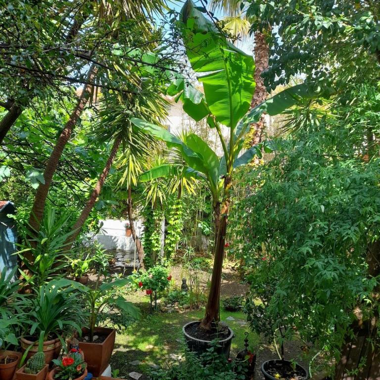 Maison avec jardin à louer au bord de la mer - Casa con 4 camere da letto - 14