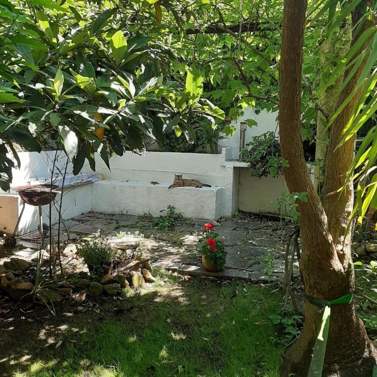 Maison avec jardin à louer au bord de la mer - Casa con 4 camere da letto - 16