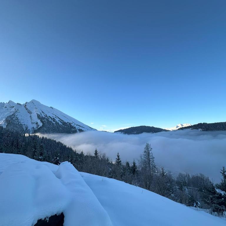 Cristaux Alpine Living - Apartment mit 3 Schlafzimmern und Bergblick - 86