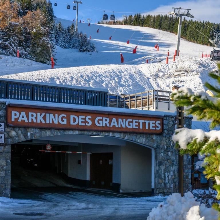 ski au pied, 3ch 2Sdb Garage Terrasse - Appartement - Vue sur Jardin - 67