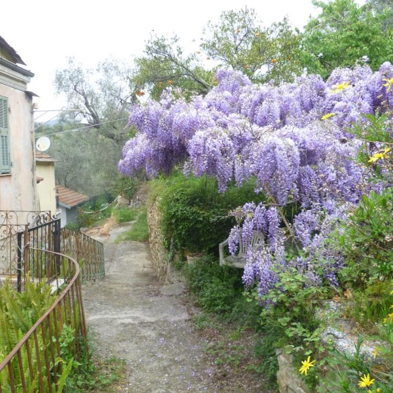 Ligurisches Rustico, umgeben von Olivenhainen am Dorfrand - Casa con 2 Camere da Letto - 5