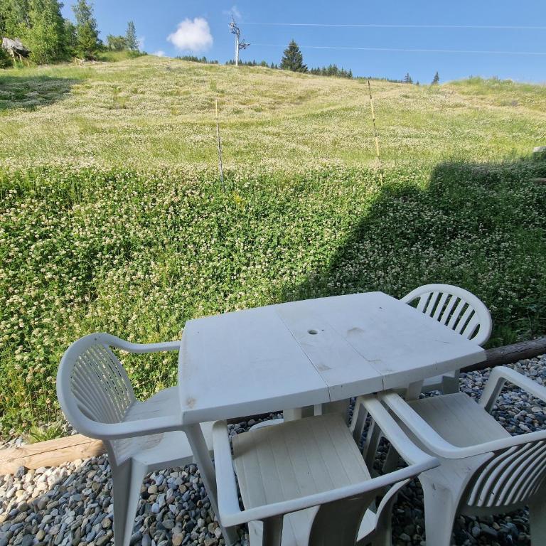 ski au pied, 3ch 2Sdb Garage Terrasse - Appartement - Vue sur Jardin - 69