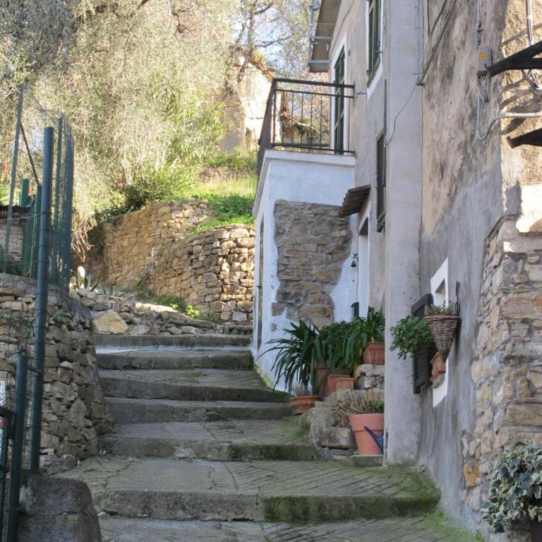 Ligurisches Rustico, umgeben von Olivenhainen am Dorfrand - Casa con 2 Camere da Letto - 7