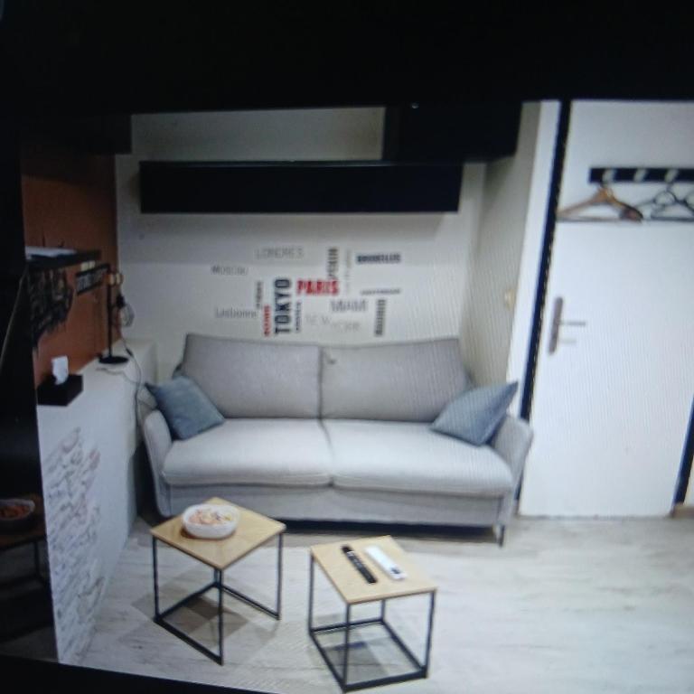 Vintage - Appartement 1 Chambre - 4