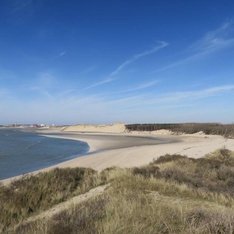 Maison - Cosy - Baie d'Authie - Casa de 3 dormitorios - 16
