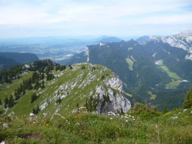 Gîte Le Wallis - Appartement 1 Chambre - 19