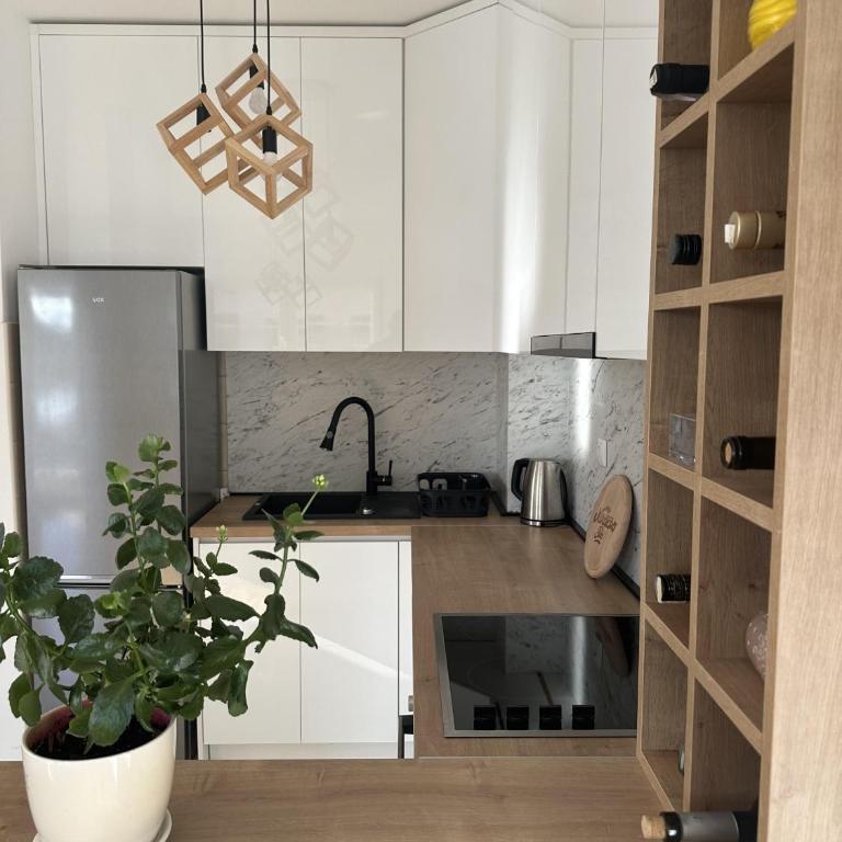 Terra Apartment Trebinje - Apartman sa 1 Spavaćom Sobom - 13