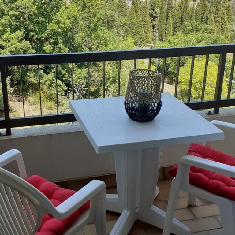 50m des cures accès direct par ascenseur joli studio Gaëlle grand balcon vue dégagée libre jusqu'au 19 octobre - Appartement 1 Chambre - 8