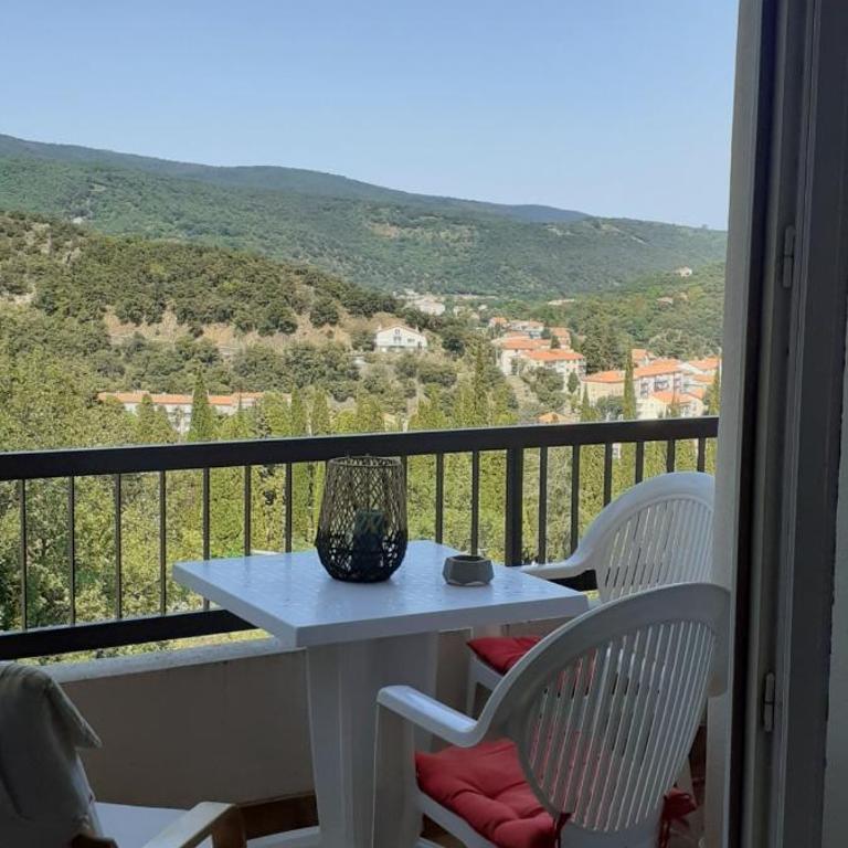 50m des cures accès direct par ascenseur joli studio Gaëlle grand balcon vue dégagée libre jusqu'au 19 octobre - Appartement 1 Chambre - 6