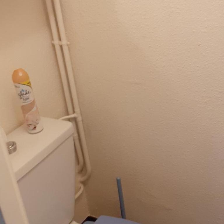 50m des cures accès direct par ascenseur joli studio Gaëlle grand balcon vue dégagée libre jusqu'au 19 octobre - Appartement 1 Chambre - 51