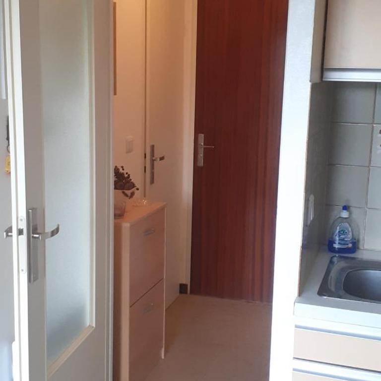 50m des cures accès direct par ascenseur joli studio Gaëlle grand balcon vue dégagée libre jusqu'au 19 octobre - Appartement 1 Chambre - 42