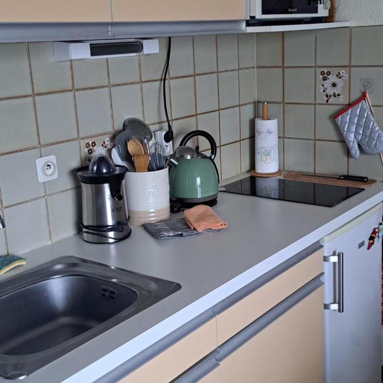 50m des cures accès direct par ascenseur joli studio Gaëlle grand balcon vue dégagée libre jusqu'au 19 octobre - Appartement 1 Chambre - 39