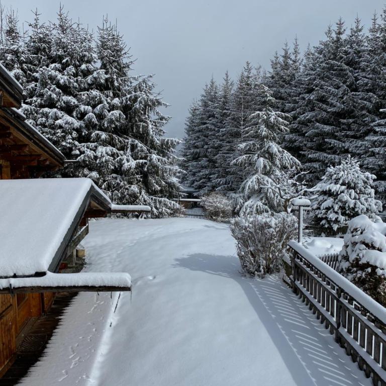 Chalet vue montagne , proche des pistes - Chalet - 42