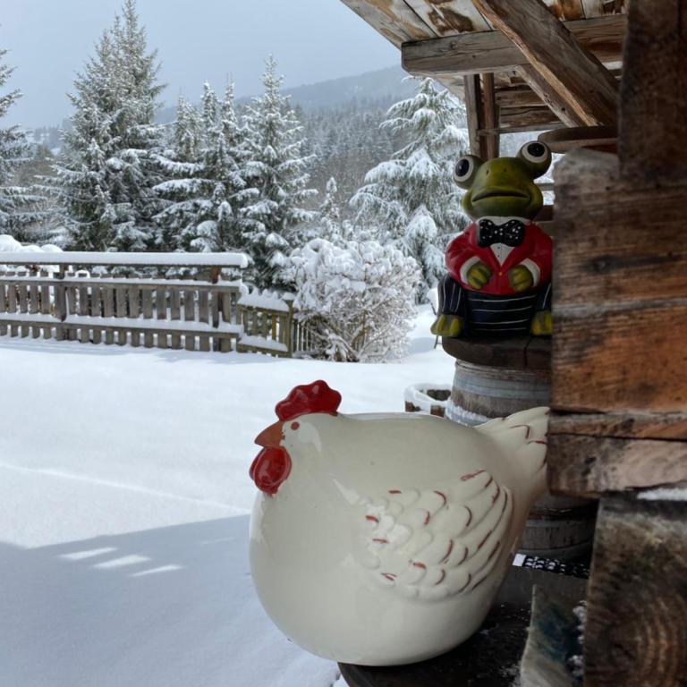 Chalet vue montagne , proche des pistes - Chalet - 44