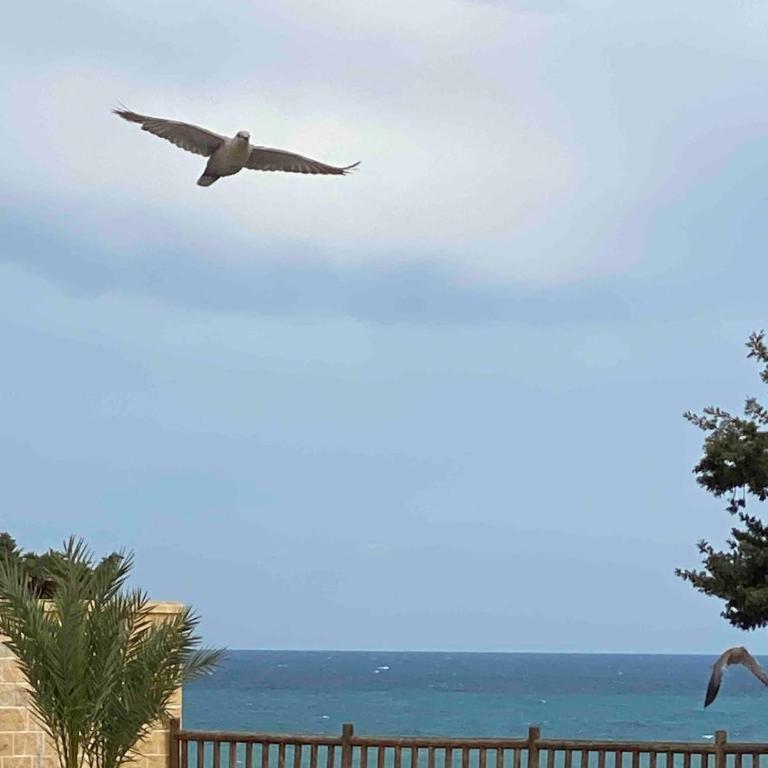 The Sunny House - Apartamento de 3 dormitorios - 63