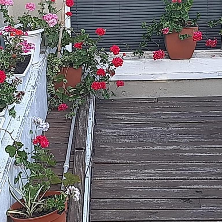 San Francisco - Apartamento de 1 dormitorio - 2