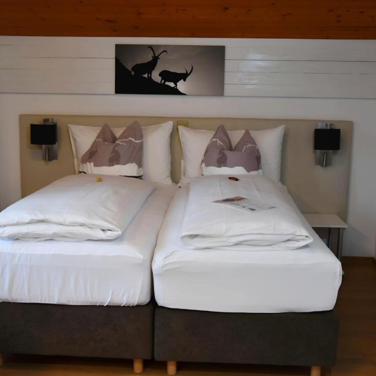 Hotel Cabana - Economy Doppelzimmer Jäger - 3
