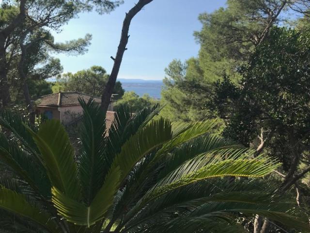 Aqui siem ben - Two-Bedroom Apartment - 16