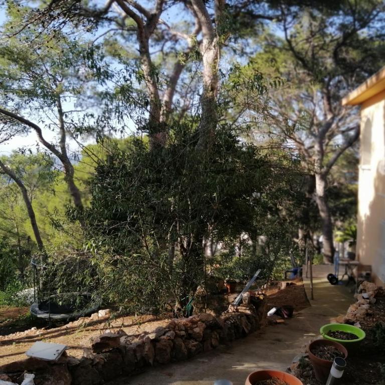 Aqui siem ben - Two-Bedroom Apartment - 14
