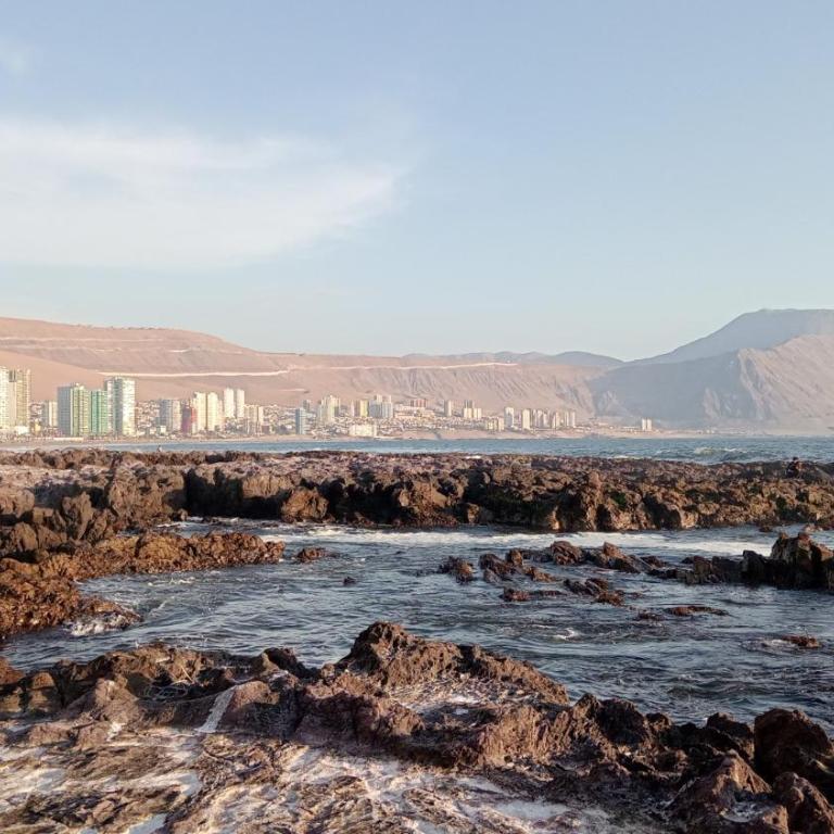 Iquique Chile departamento frente a la playa - Apartamento de 1 dormitorio - 19