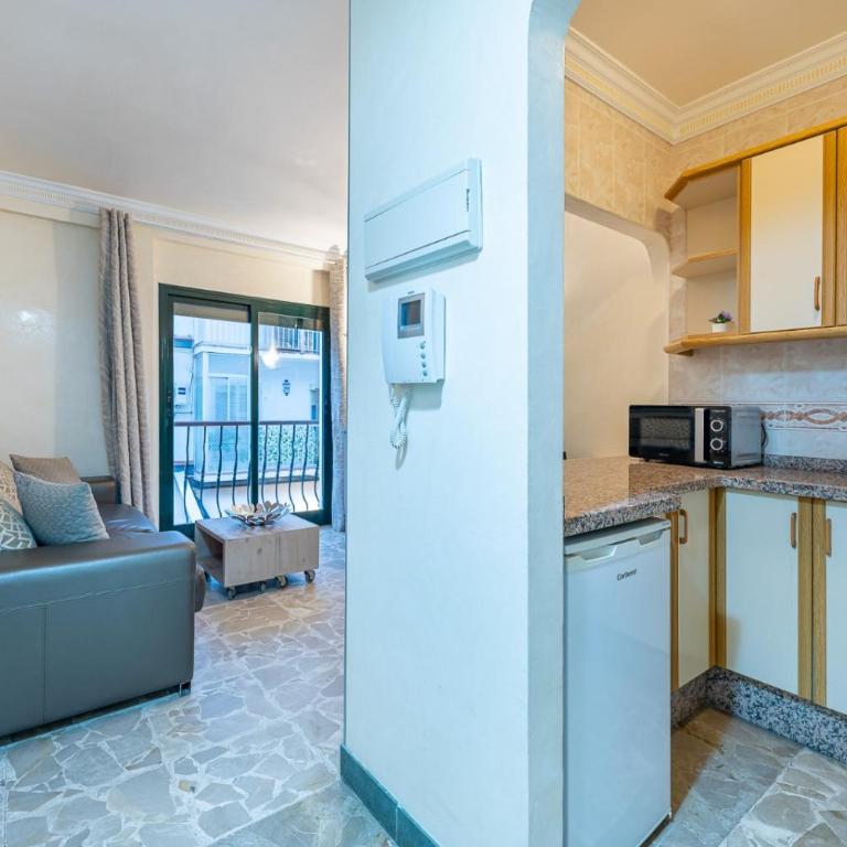 Hof van Holland Carihuela - Apartamento de 1 dormitorio con vistas a la calle - 5