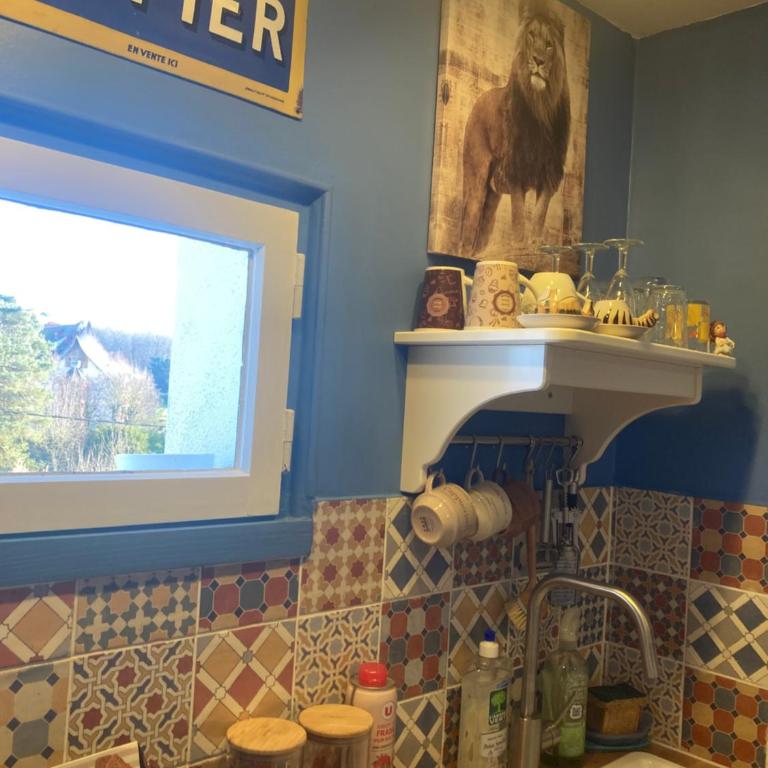 Le petit secret au pied du zoo - One-Bedroom House - 38