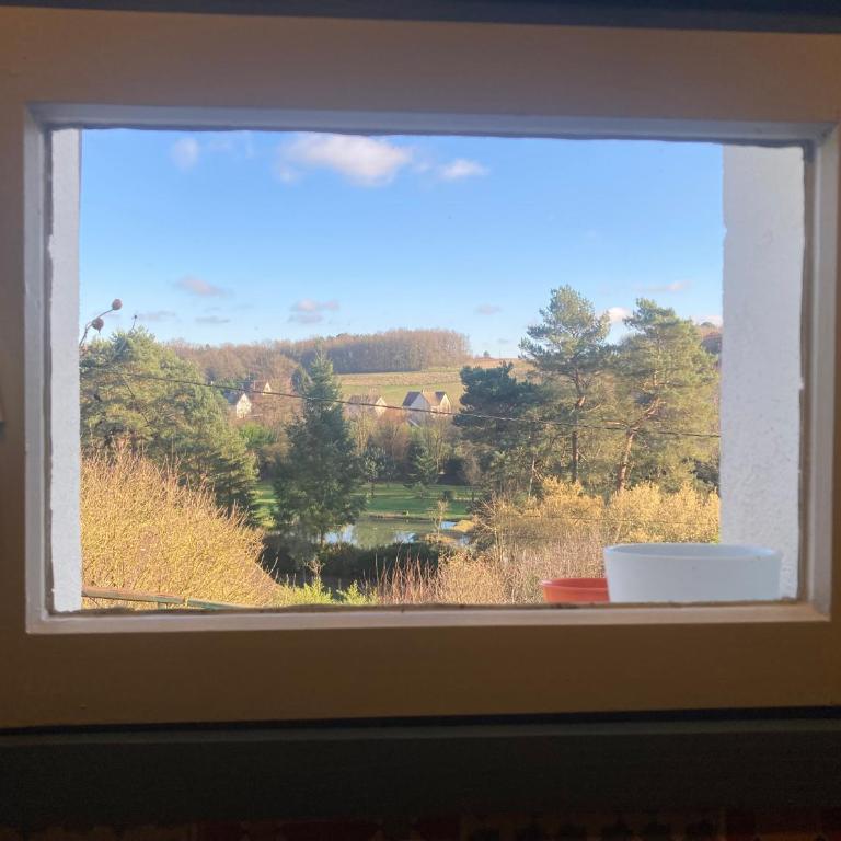 Le petit secret au pied du zoo - One-Bedroom House - 39