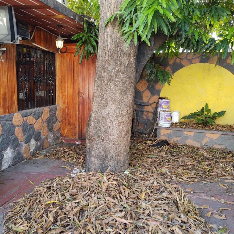 Casa Grande Céntrico cerca del Malecón - One-Bedroom House - 12