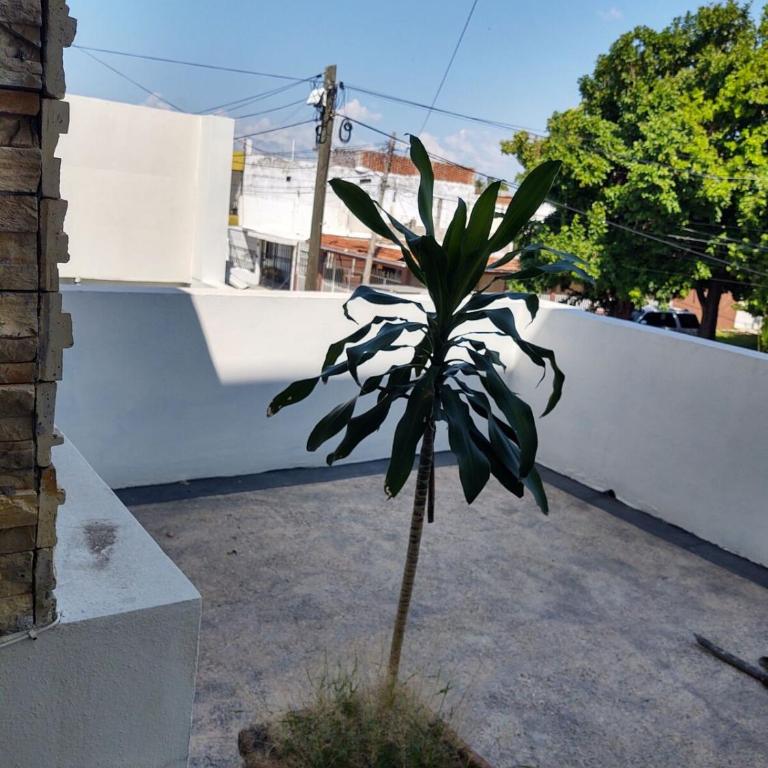 Casa Grande Céntrico cerca del Malecón - One-Bedroom House - 16