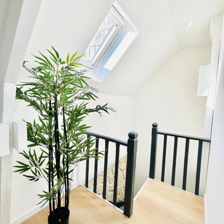 Le Rêve Maritime - Appartement - 10