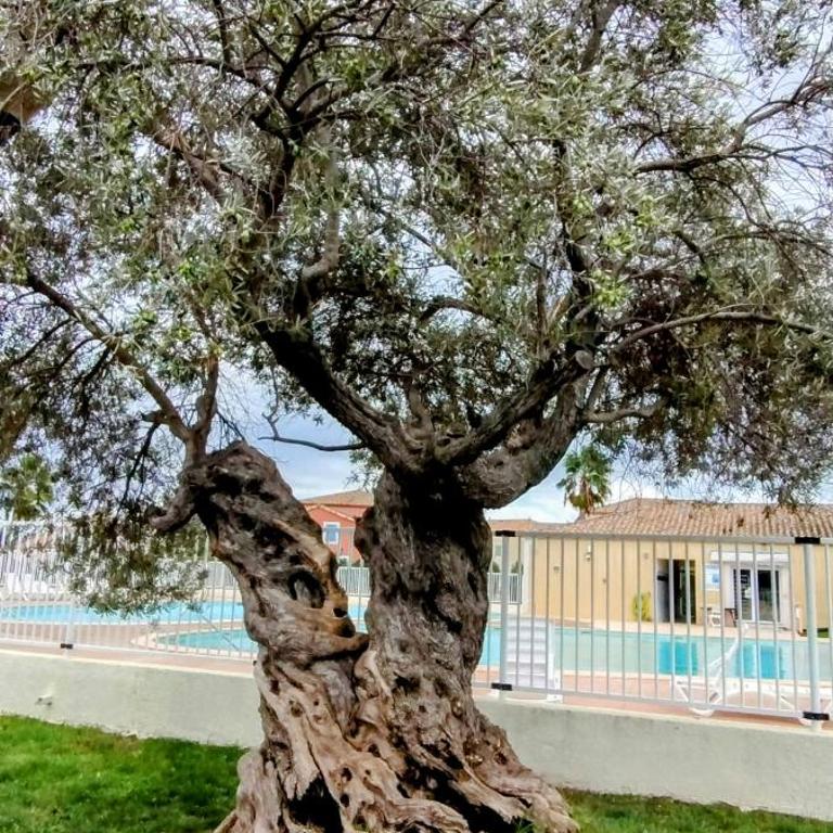 Maison cosy au bord du canal, piscine et parking - Ferienhaus - 10