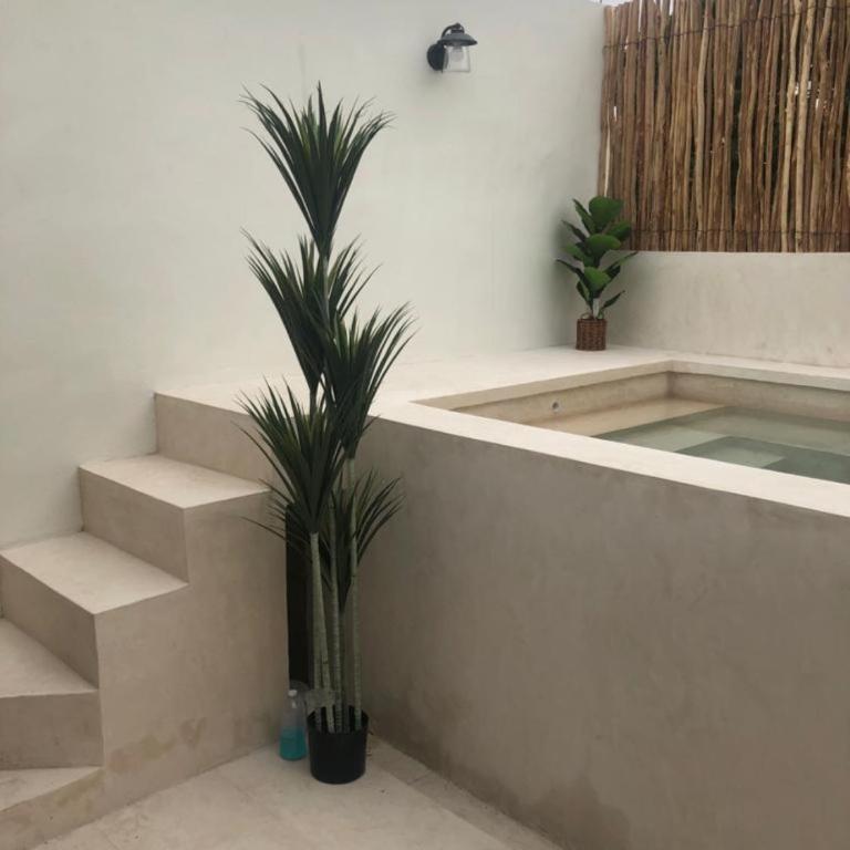 Casa Michela 512, piscine privée - Appartement 2 Chambres avec Piscine Privée - 11