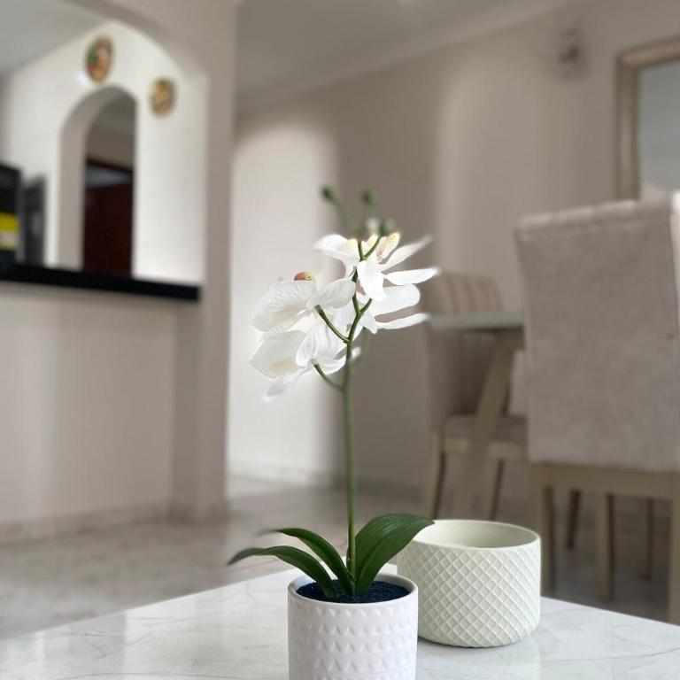 Encanto Barranquillero! - One-Bedroom Apartment - 20