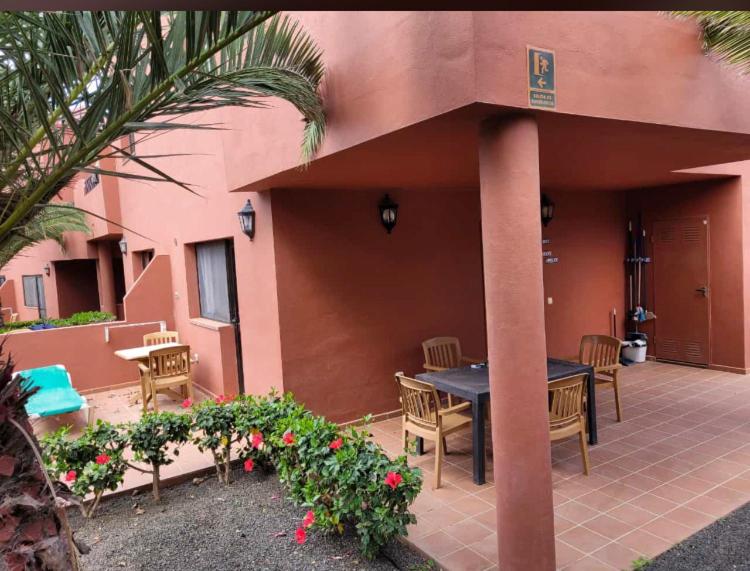 Corralejo Oasis Tamarindo Dońa Laura 69b WI FI, smart TV, portico, piscine - Apartamento de 1 dormitorio - 8