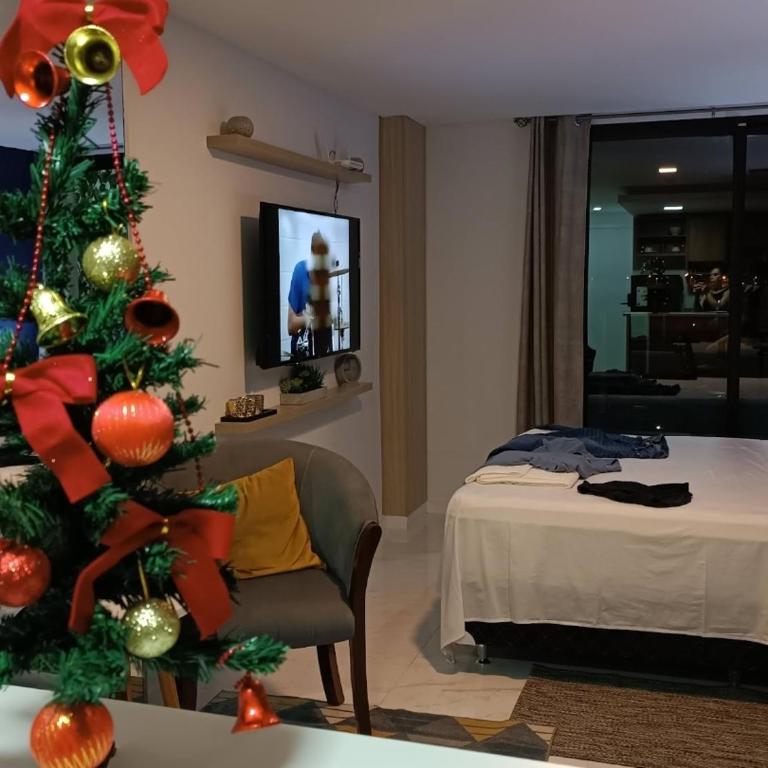 Hermoso Departamento completamente equipado - Deluxe Double Room with Balcony - 1