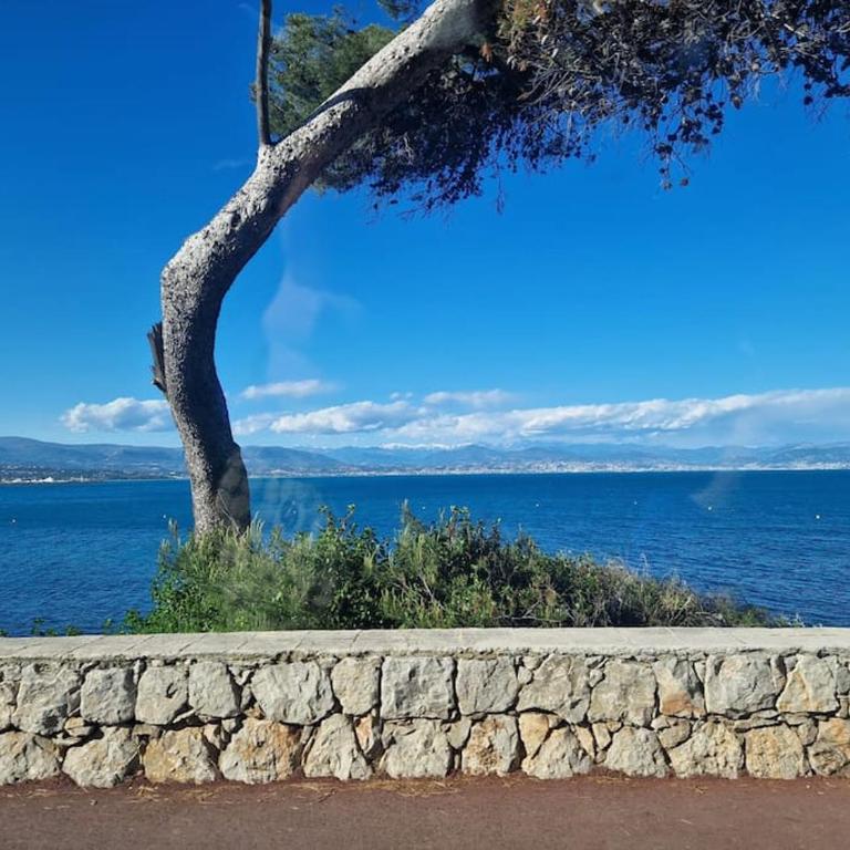 Cozy 1 Br with a seaview, AC, Pool and Parking - Apartment mit 1 Schlafzimmer - 22